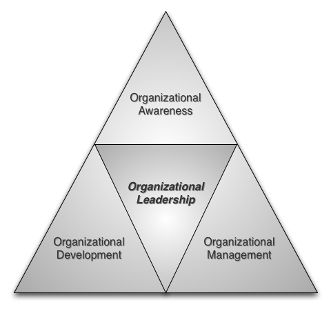 organizational competency leadership competencies framework